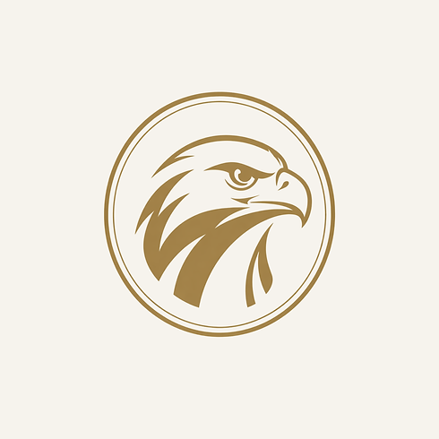 LTRW Tuition Falcon