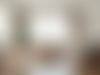 Why Choosing a Professional Cleaner Matters