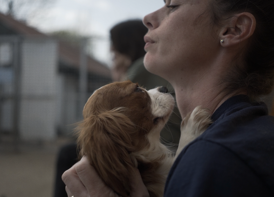 ADM 070422 Copy 01.00_00_08_13.Still004.png