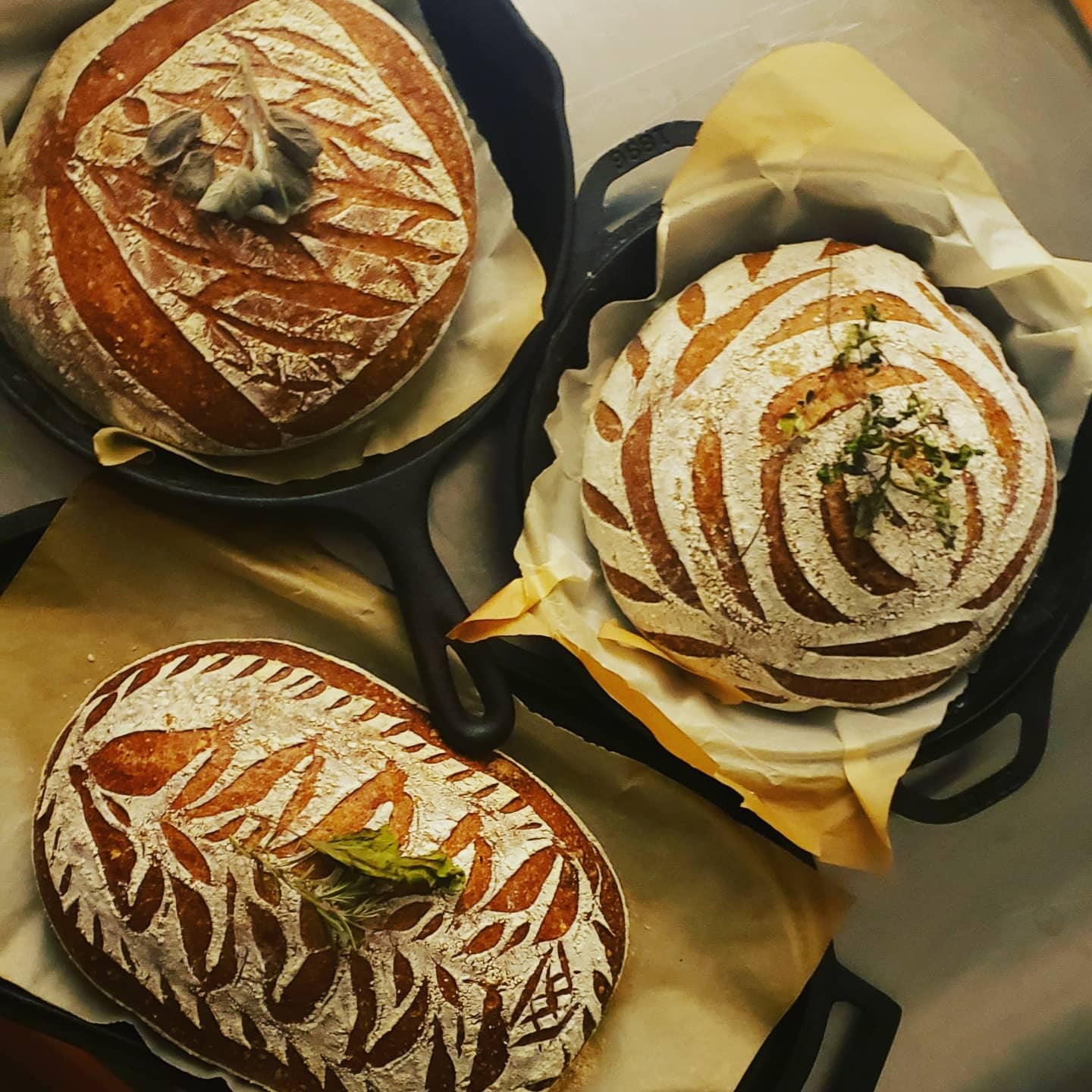 Arranged Food and Objects