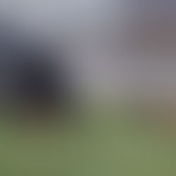 Photos by Sora Bullock