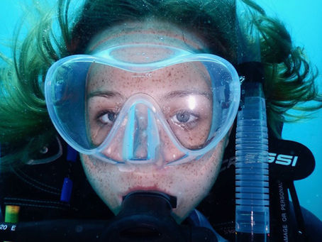 Why I Dive... Why don't you?