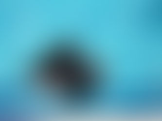 January Pool Session Updates