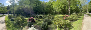 Rhodopark