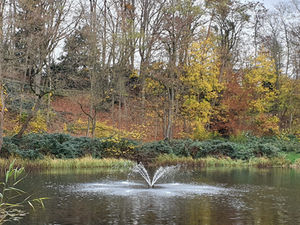 Fontäne auf dem Dorfteich