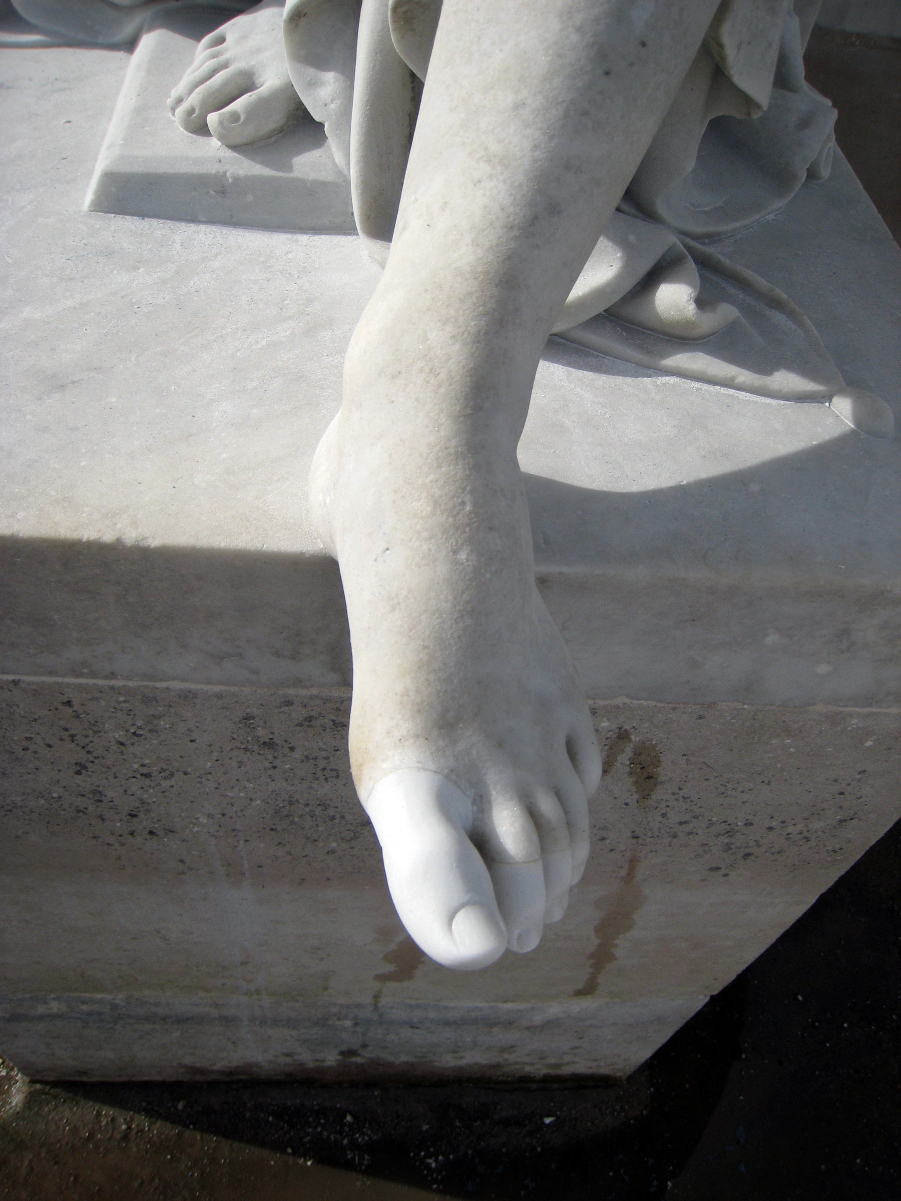 Toes