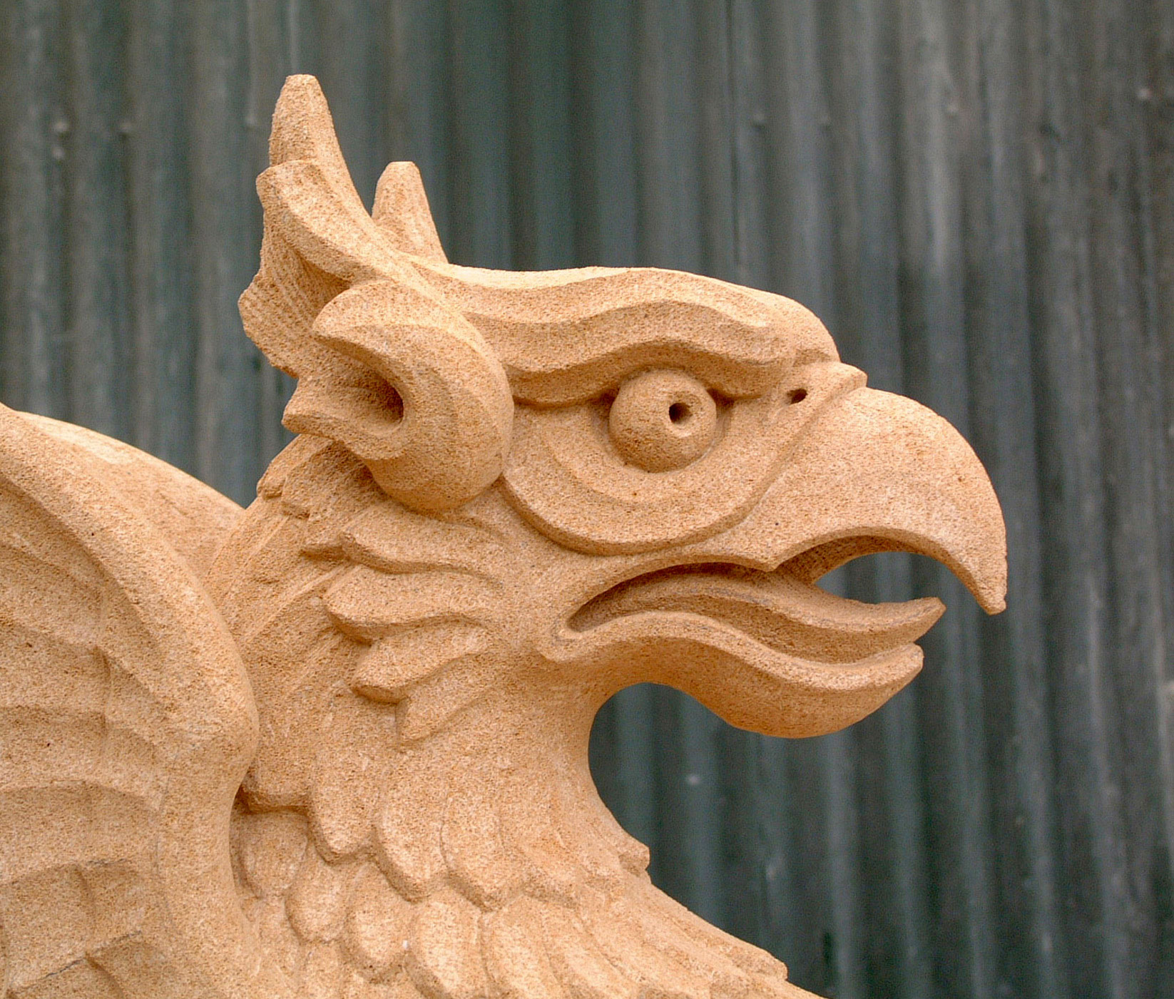 Head