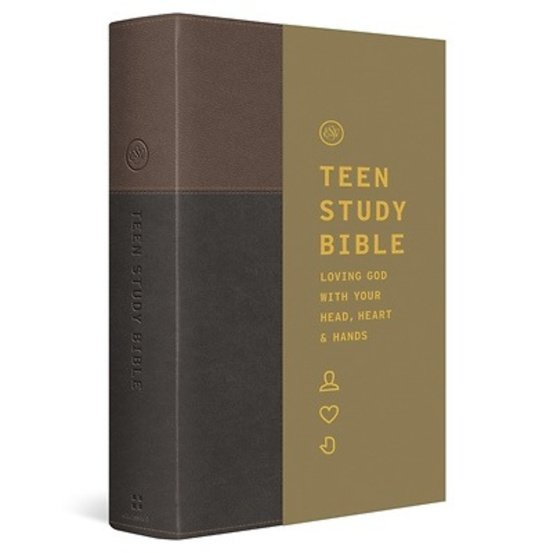 ESV Teen Study Bible