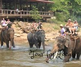 Tour by Locals