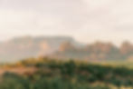 SedonaDesertDreamsLandscape-26.jpg