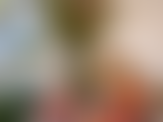 Unplugged Summer Bliss