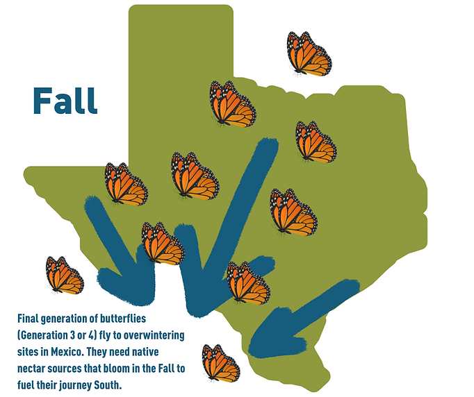 Copy of texas map.png