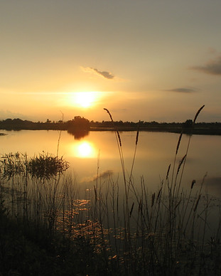 Sunset_on_the_Katy_Prairie_-_Photo_Credi