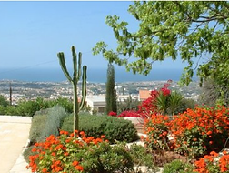Lovely Mediterranean garden