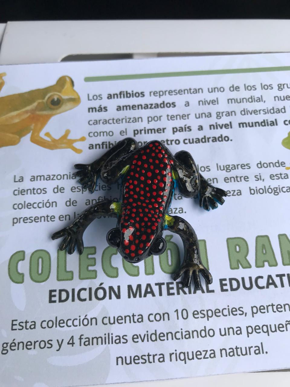 Miniatura: Ranas (10)  | Material Educativo 