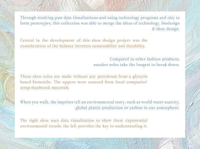 thesis earth soles 20 v22.jpg