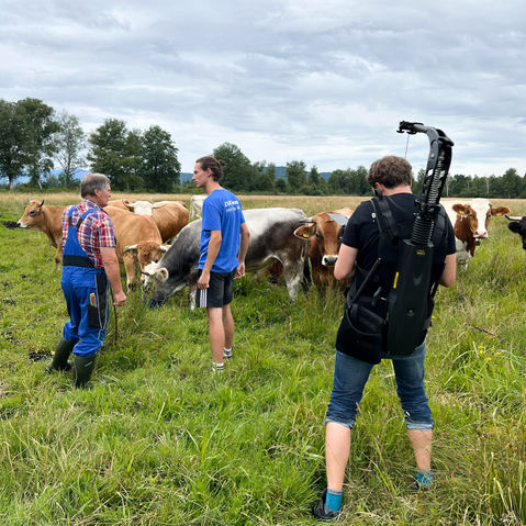 Tier- und Naturaufnahmen.