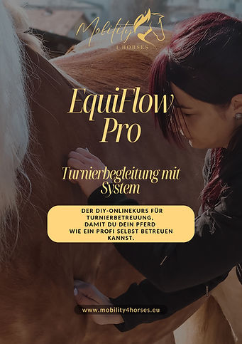 Titelbild.jpg