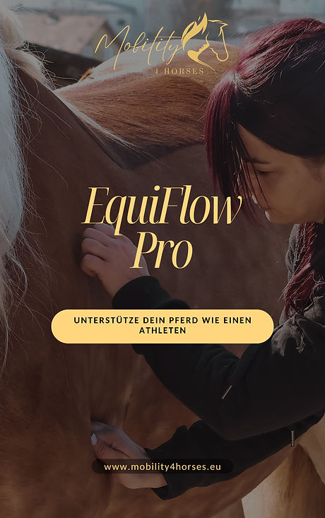 Titelbild_202606.jpg