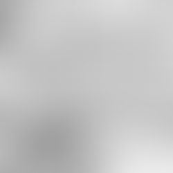 Fin-X Rapid Response - March 13th