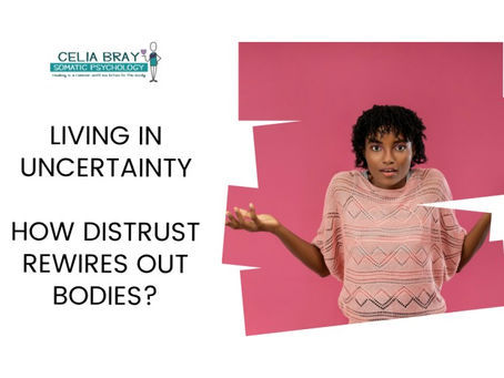 Living in Uncertainty – How Distrust Rewires Out Bodies