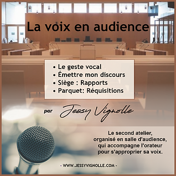 la voix en audience.png