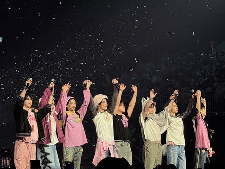 The Stray Kids Arlington Fiasco