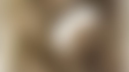 💋❤💋❤💋❤REVIEW💋❤💋❤💋❤