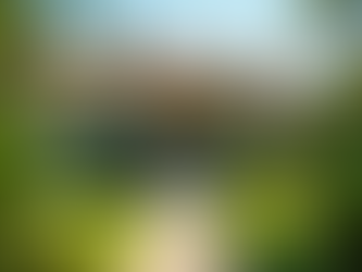 Explore Real Estate Listings Jamaica