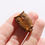 Thumbnail: Tigers eye Owls mini