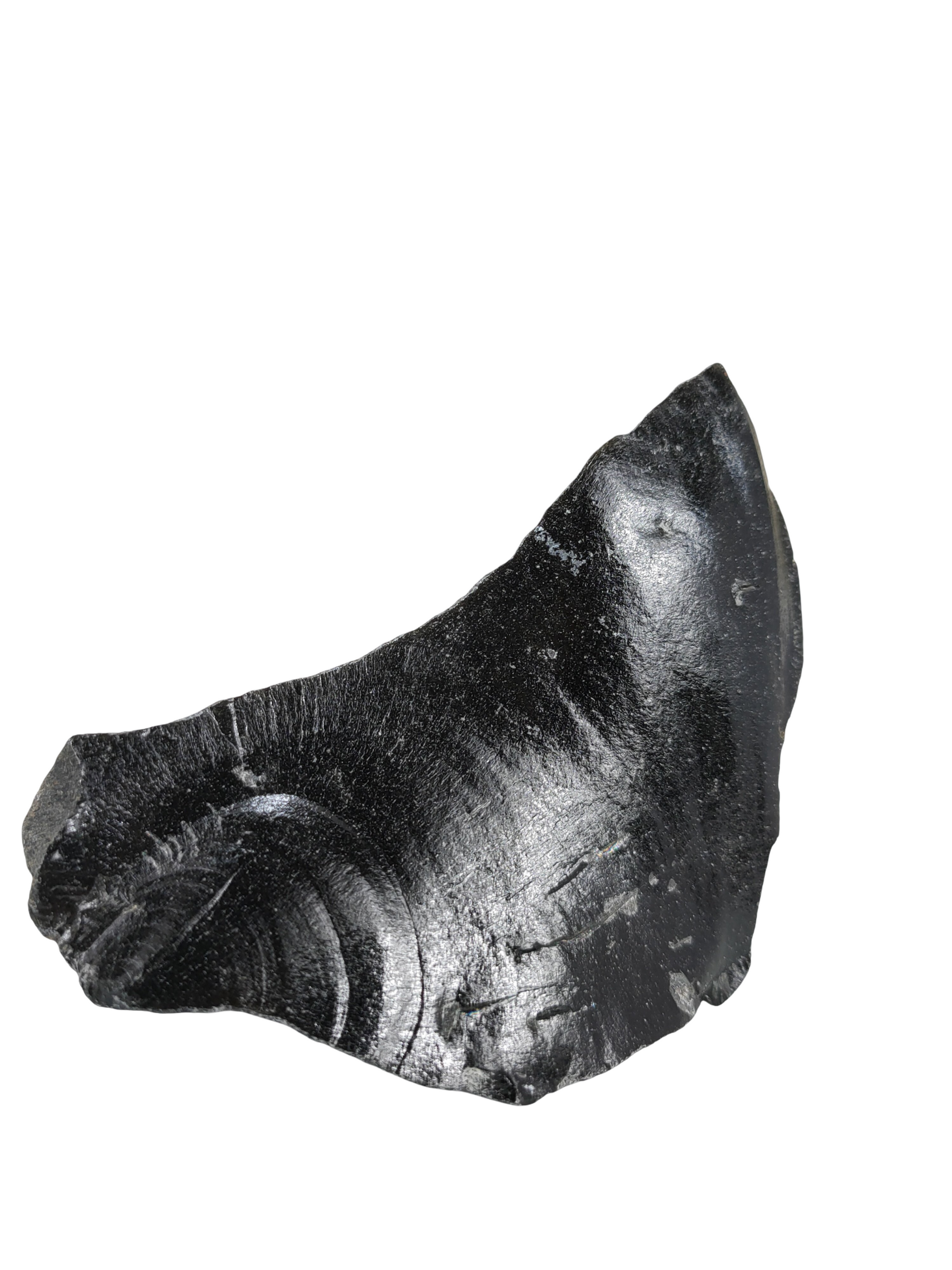 New Zealand Raw Black Obsidian