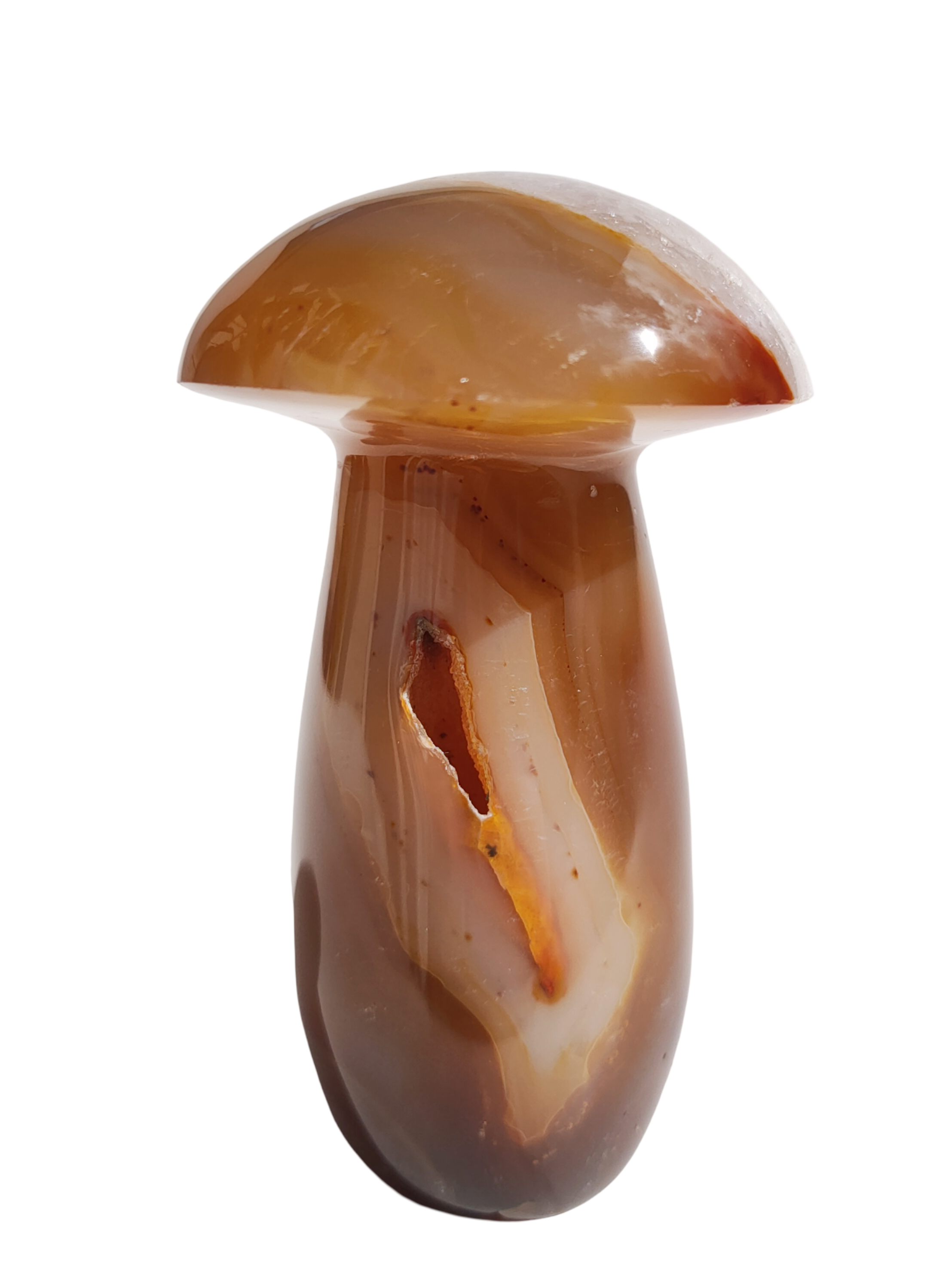 Carnelian Mushroom 