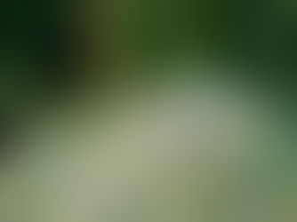 ガスの科学館(ゆ)