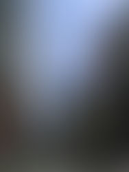 今週のTOKYO油田