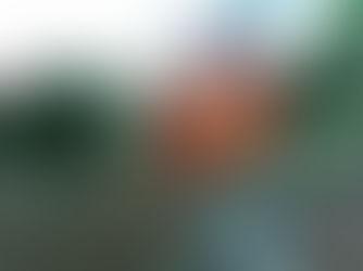 今週のTOKYO油田