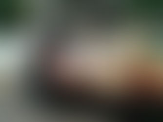 今週のTOKYO油田