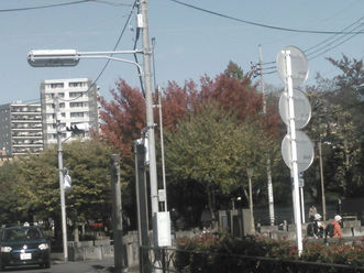 今週のTOKYO油田