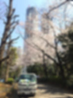 2015年桜.JPG