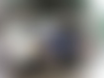 今週のTOKYO油田