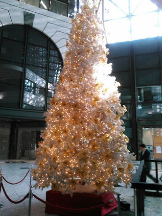 今週のTOKYO油田