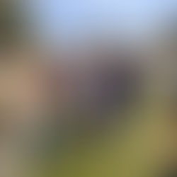 10 things to do during the DC government shutdown