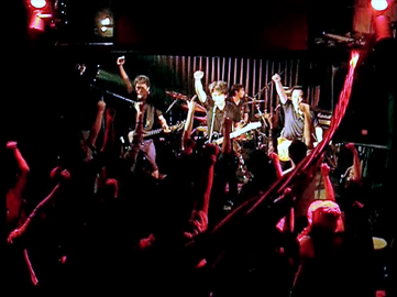 The Flamingo Digitals