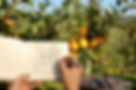 immagine disegno botanico_gemini.png