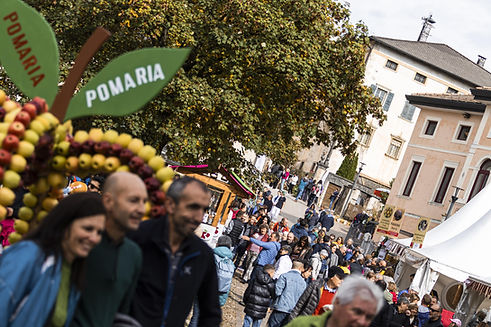 Pomaria 2024 - 13 Ottobre 2024 - StefanoWeber-74-min.JPG