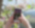 cellulare e fiore small_edited.jpg