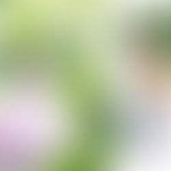 夏休み！子供たちは元気♪