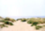 sand-dunes-4227945_L1-01.jpg