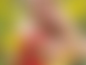 When Chaos Calls, look for blessings