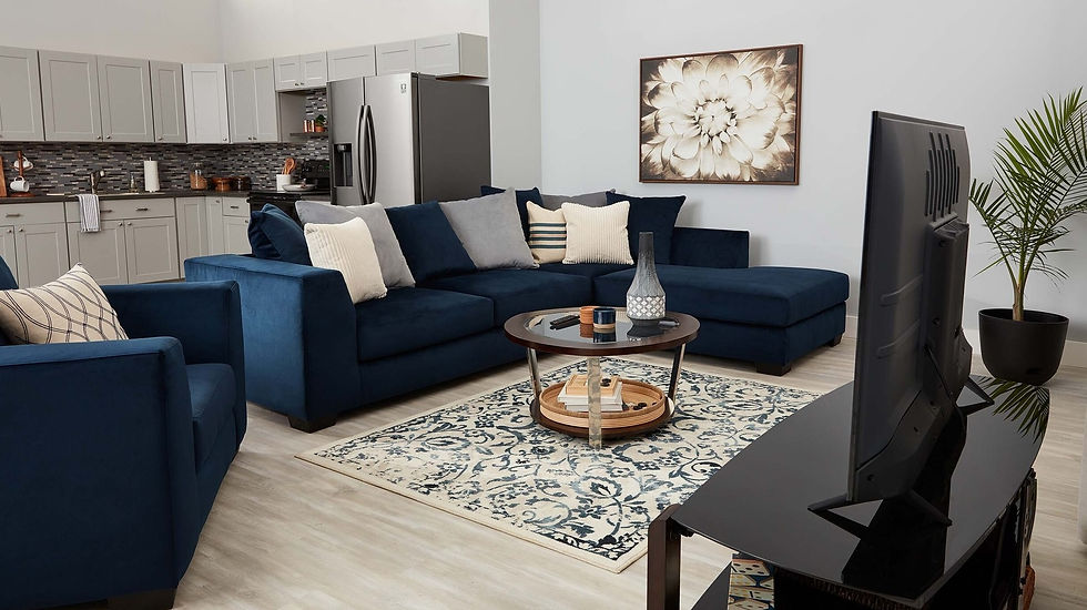 Rugs For The Living Room