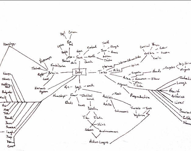 Body Map